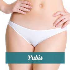 PUBIS COMPLETO