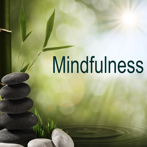 MEDITACION - MINDFULLNESS INDIVIDUAL (1 HORA)
