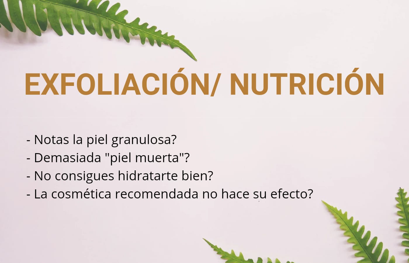 EXFOLIACIÓN/ NUTRICIÓN (1h)