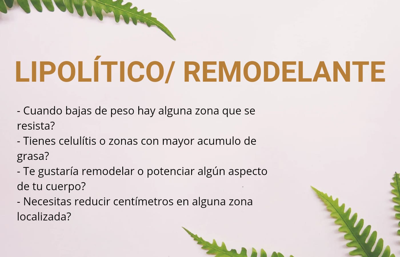 LIPOLÍTICO/ REMODELANTE (1h)