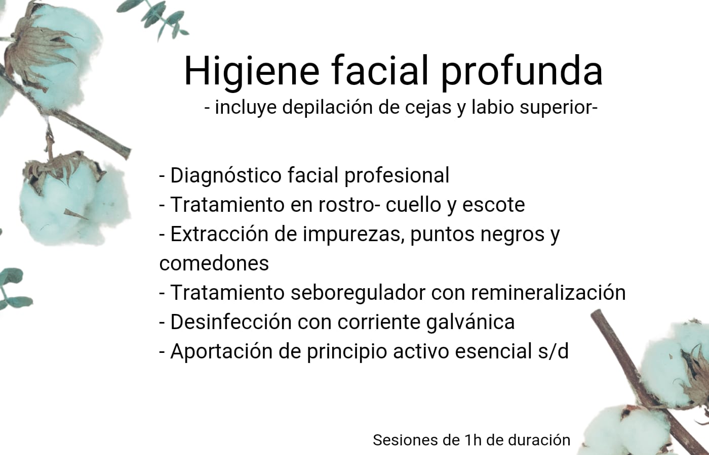 HIGIENE FACIAL PROFUNDA