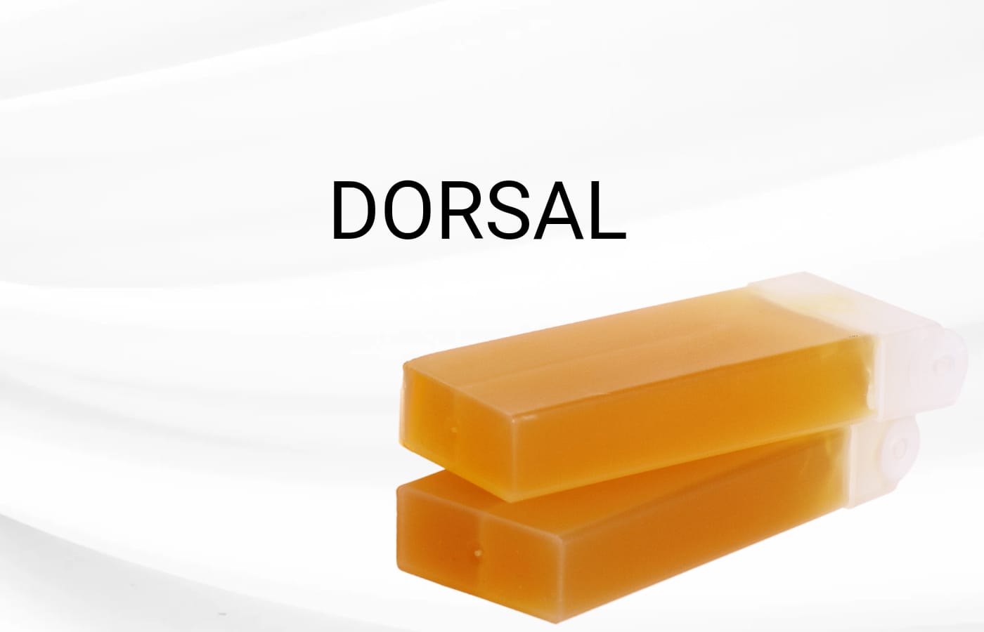 DORSAL