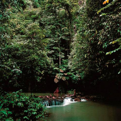 Aguas Termales Japonesas y Masaje con Turmalinas