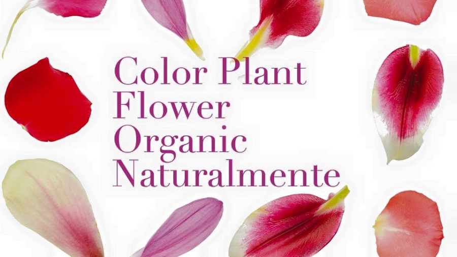 El tractament vegetal COLOR PLANT FLOWER es una barreja de 14 plantas orgànicas amb poder colorant i reestructurant en les seves merabelloses y naturales tonalitats
Ideal para donar reflexos naturals i per cubrir les canes.
Adequat per embarassades